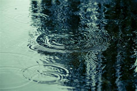 雨日|雨